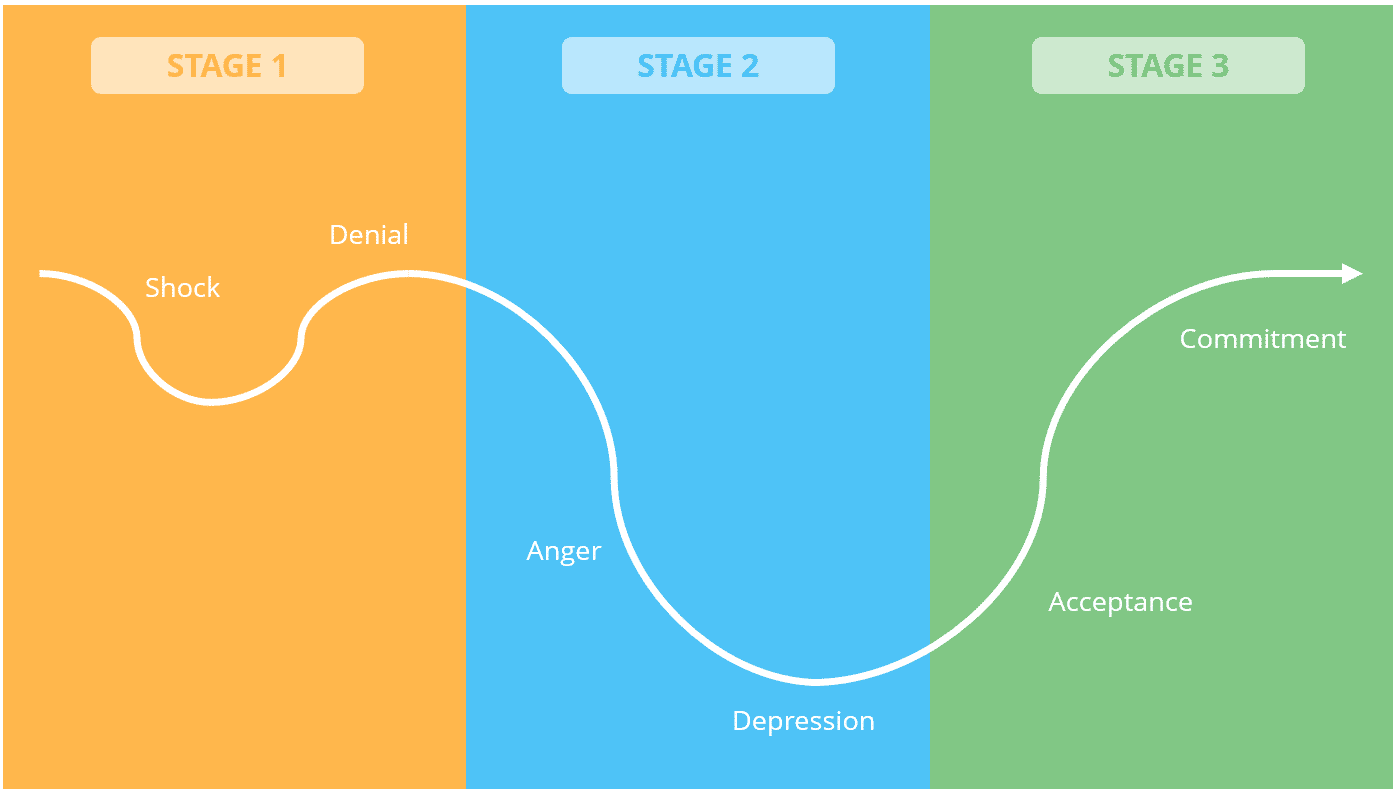 Emotions In Change Leadership Success